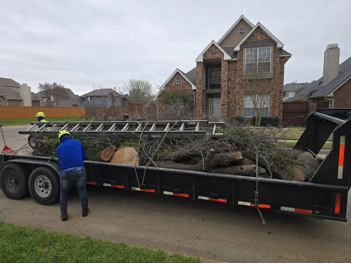 Expert Lot Clearing with proper safety equipment in Killdeer